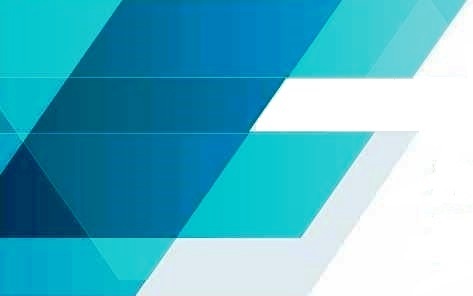 Primary Raster logo
